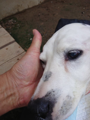 f:id:roukenhome-ann:20190724192157j:plain f:id:roukenhome-ann:20190724192157j:plain