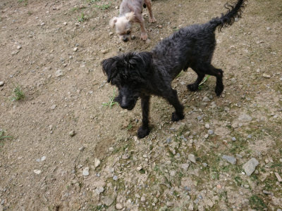 f:id:roukenhome-ann:20190726140122j:plain