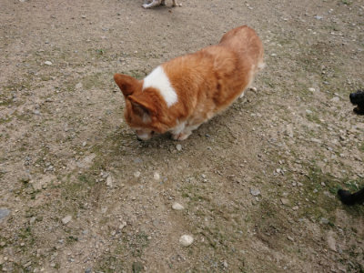 f:id:roukenhome-ann:20190726140132j:plain