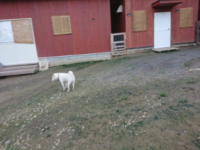 f:id:roukenhome-ann:20190726140147j:plain