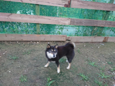 f:id:roukenhome-ann:20190726140158j:plain