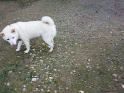 f:id:roukenhome-ann:20190726140214j:plain