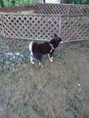 f:id:roukenhome-ann:20190726140232j:plain