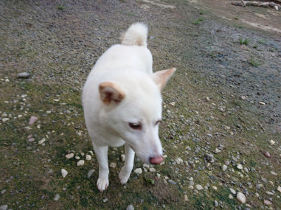 f:id:roukenhome-ann:20190726140242j:plain
