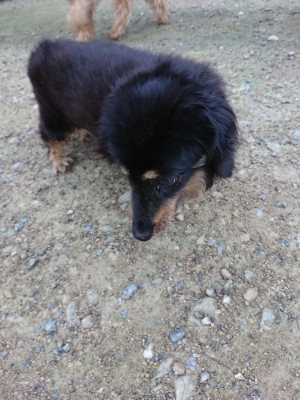 f:id:roukenhome-ann:20190726140257j:plain