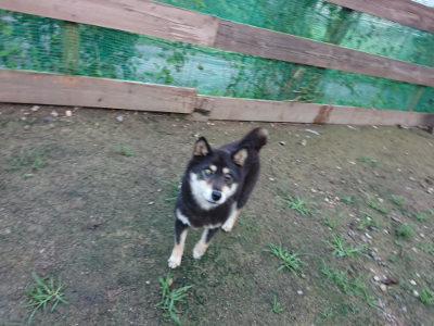 f:id:roukenhome-ann:20190726140312j:plain