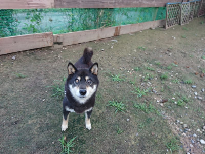 f:id:roukenhome-ann:20190726140358j:plain