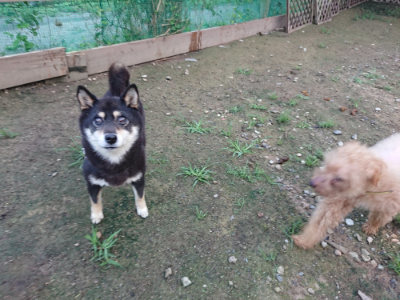 f:id:roukenhome-ann:20190726140403j:plain