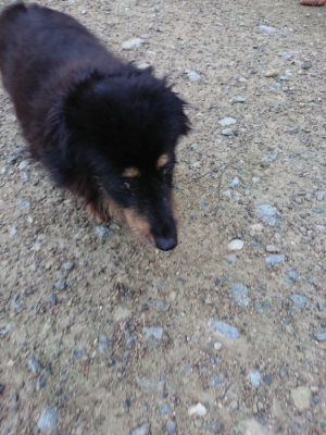 f:id:roukenhome-ann:20190726140425j:plain