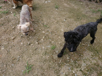 f:id:roukenhome-ann:20190726140517j:plain
