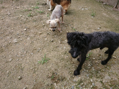 f:id:roukenhome-ann:20190726140522j:plain