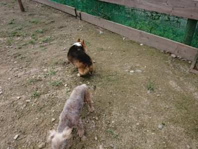 f:id:roukenhome-ann:20190726140552j:plain