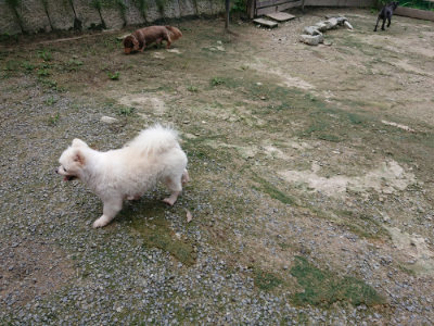 f:id:roukenhome-ann:20190726141020j:plain