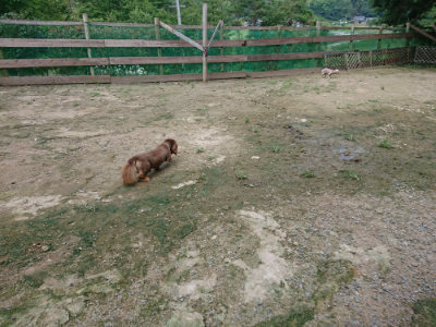 f:id:roukenhome-ann:20190726141025j:plain