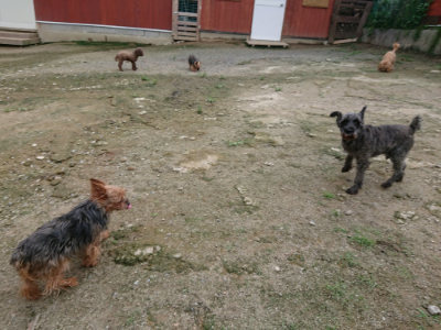 f:id:roukenhome-ann:20190726141030j:plain