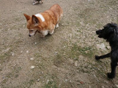 f:id:roukenhome-ann:20190726141044j:plain