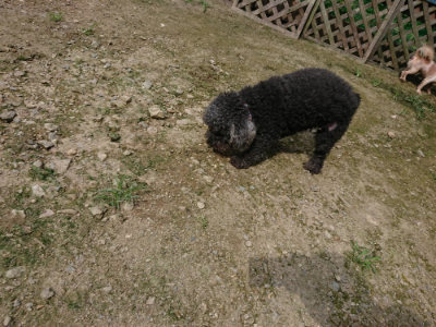 f:id:roukenhome-ann:20190726141100j:plain