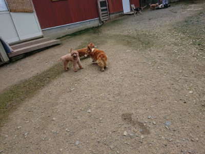 f:id:roukenhome-ann:20190726141115j:plain