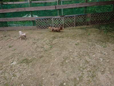 f:id:roukenhome-ann:20190726141134j:plain