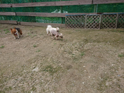f:id:roukenhome-ann:20190726141139j:plain