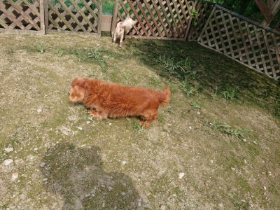 f:id:roukenhome-ann:20190726141157j:plain