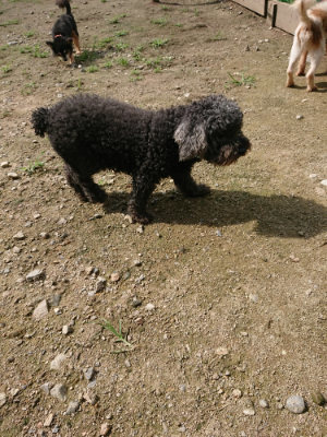 f:id:roukenhome-ann:20190726141223j:plain