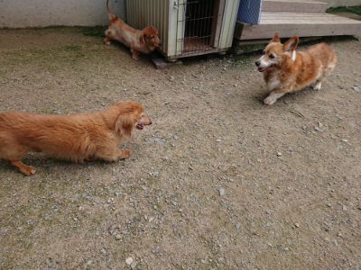 f:id:roukenhome-ann:20190726141249j:plain