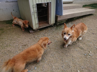 f:id:roukenhome-ann:20190726141317j:plain