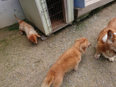 f:id:roukenhome-ann:20190726141323j:plain