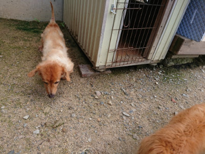 f:id:roukenhome-ann:20190726141329j:plain
