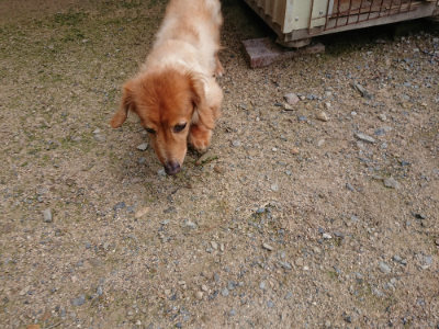 f:id:roukenhome-ann:20190726141339j:plain