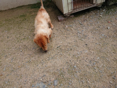f:id:roukenhome-ann:20190726141345j:plain