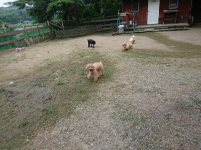 f:id:roukenhome-ann:20190726141422j:plain