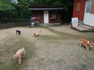 f:id:roukenhome-ann:20190726141427j:plain