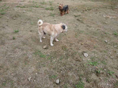 f:id:roukenhome-ann:20190726141502j:plain