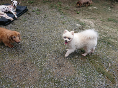 f:id:roukenhome-ann:20190726141511j:plain