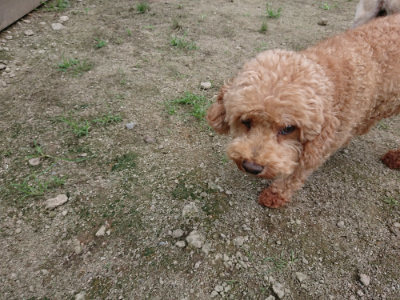 f:id:roukenhome-ann:20190726141520j:plain