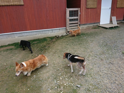 f:id:roukenhome-ann:20190726141910j:plain