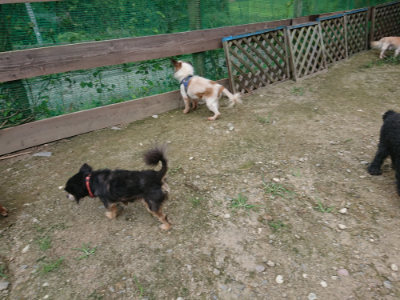 f:id:roukenhome-ann:20190726141916j:plain
