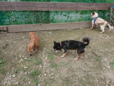 f:id:roukenhome-ann:20190726141922j:plain