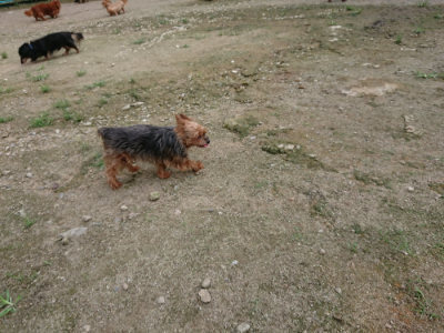 f:id:roukenhome-ann:20190726141940j:plain