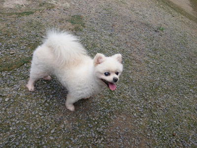 f:id:roukenhome-ann:20190726142000j:plain