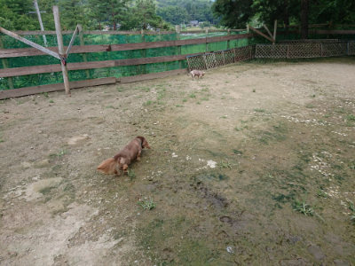 f:id:roukenhome-ann:20190726142019j:plain
