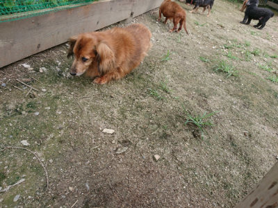 f:id:roukenhome-ann:20190726142024j:plain