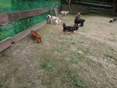 f:id:roukenhome-ann:20190726142044j:plain