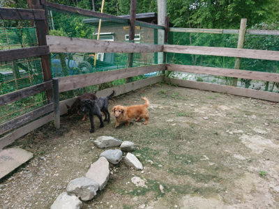f:id:roukenhome-ann:20190726142058j:plain