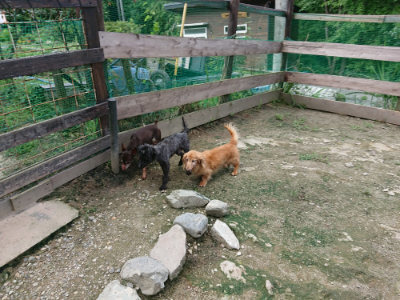 f:id:roukenhome-ann:20190726142105j:plain