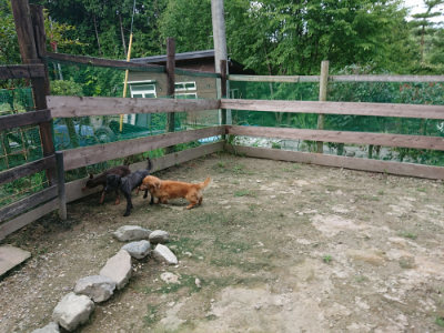 f:id:roukenhome-ann:20190726142120j:plain