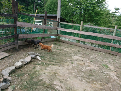 f:id:roukenhome-ann:20190726142140j:plain