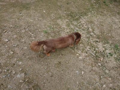 f:id:roukenhome-ann:20190726142145j:plain